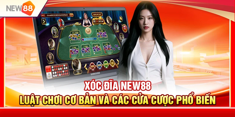 Xóc Đĩa NEW88 – Luật Chơi Cơ Bản Và Các Cửa Cược